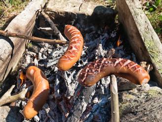 Cervelat-gate: Zwitsers politicus deelt 2000 varkensworsten uit na ‘picknick zonder varkensvlees’