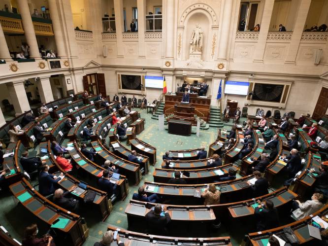 Kamer eist onderzoek naar illegale adopties in België