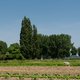 OVAM-baas versus Joke Schauvliege (CD&V): de PFOS-commissie start, het zwartepieten ook