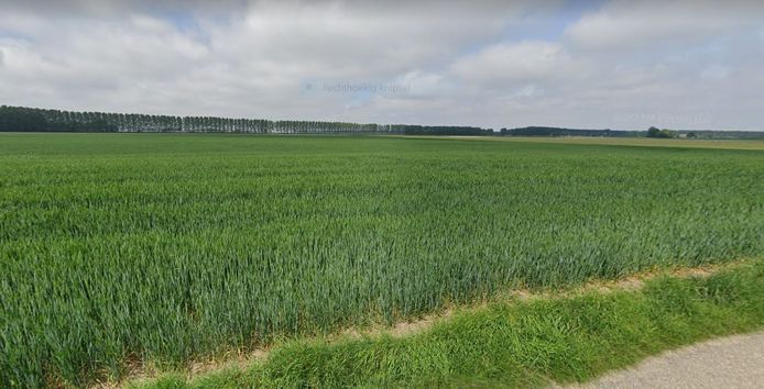 Het perceel aan de Tweekwartweg bij Sas van Gent waar het zonnepark van Vattenfall gepland is.