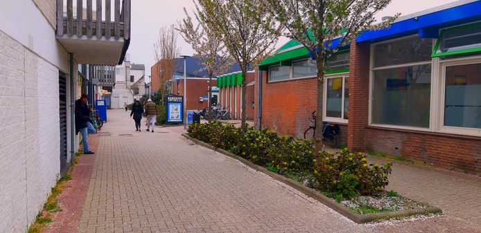 De omgeving van de Griet Manshande erf in de Capelse wijk Schollevaar maakt een desolate indruk. Veel steen, weinig groen, dat gelukkig wel in bloei staat.
