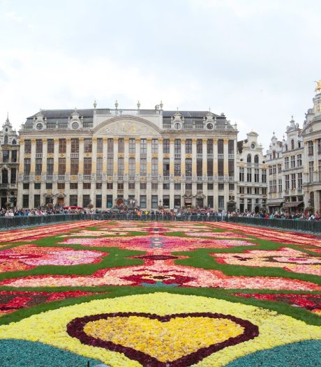 Le tapis de fleurs de Bruxelles? Evénement floral international de l'année!
