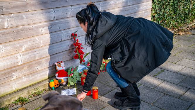 Verdachte van doodslag postbezorger in Hoogvliet blijft voorlopig vastzitten 