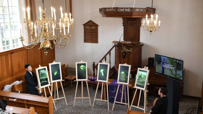Voor 750 tot 10.000 dollar kun je een uniek digitaal kunstwerk kopen, geïnspireerd op Van Gogh