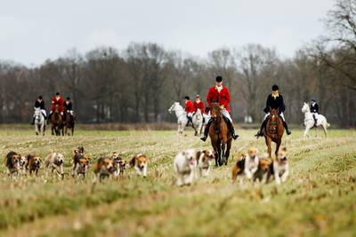 Ruiters en honden trekken om broedende scholekster heen, maar weidevogelgroep vindt slipjacht bij Ri