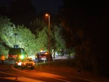 Achtervolging en schoten op A50: politie pakt vuurwapengevaarlijke man op na crash bij Vaassen