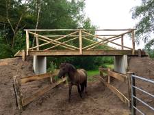 Ruime steun voor mini-viaduct bij wisenten Maashorst