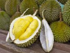 Stinkvrucht veroorzaakt zo'n enorme stank dat Veldhovense sportschool door brandweer wordt uitgekamd