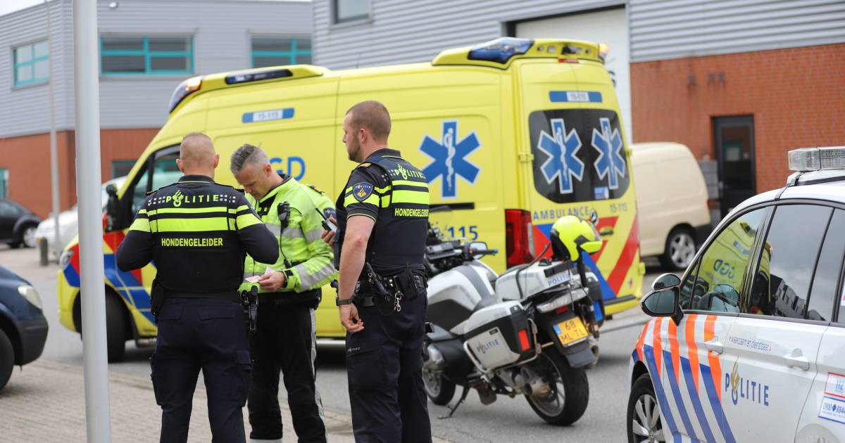 Gewonde en aanhouding na steekincident in Maasdijk.
