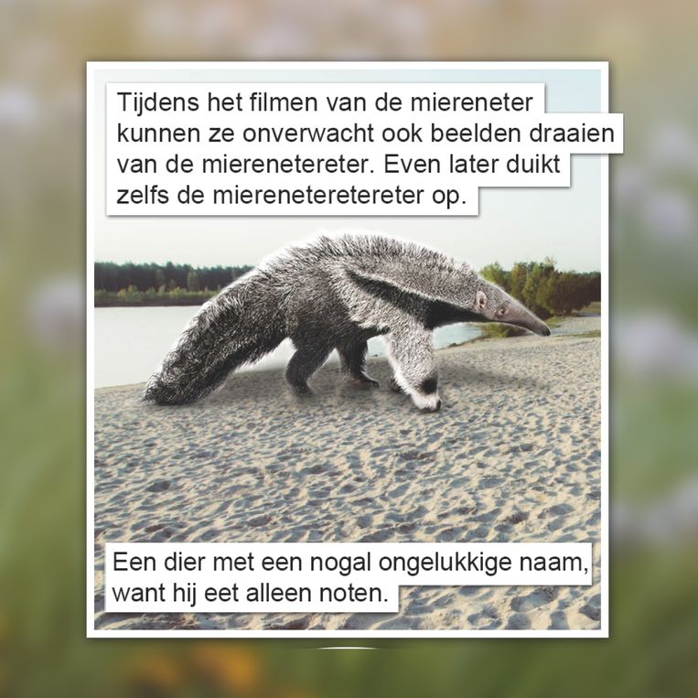 Gat van de wereld Beeld GVDW