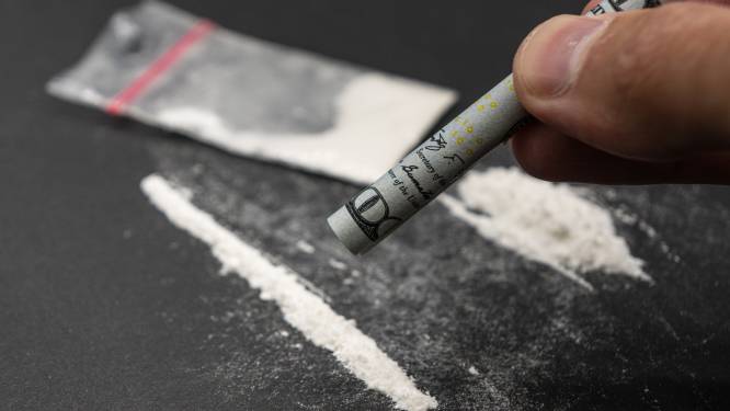 Grote hoeveelheid drugs gevonden bij bedrijf in Oosterhout, vermoedelijk cocaïne