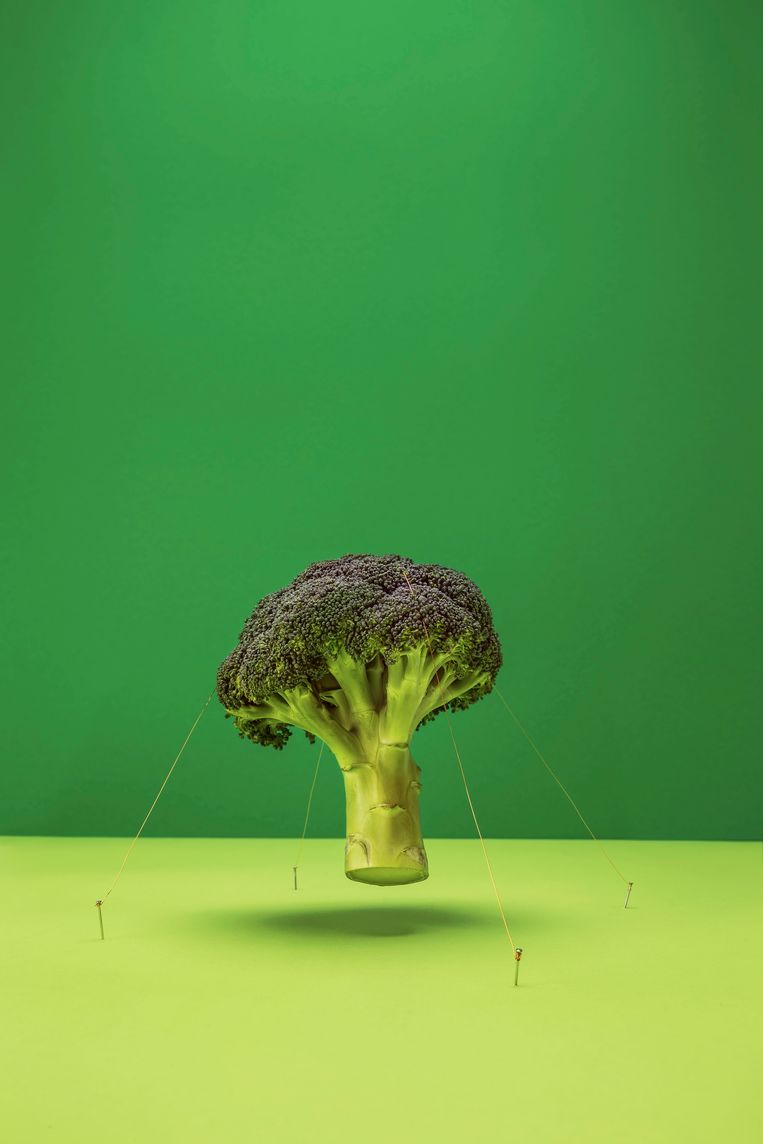Groenten en fruit zijn niet zo on-ge-lo-fe-lijk gezond als we weleens denken, meent voedingsexpert Martijn Katan. Beeld Jef Boes