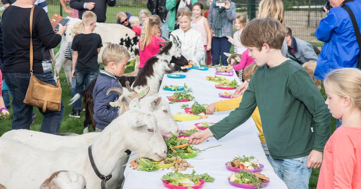 Kinderboerderij Houten dicht met de feestdagen, ‘maar weer open op de