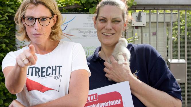 Ooit hoop ik zo stoer te zijn als Marina Kompier, die gewonde vogeltjes redt door ze in haar bh te stoppen