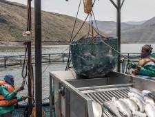 Elf opvarenden vermist nadat vissersboot zinkt nabij Kaap de Goede Hoop