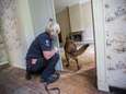 Politiehond Kilian mag op welverdiend pensioen: “Op zijn luie kont in de zetel en niet vroeg opstaan” 