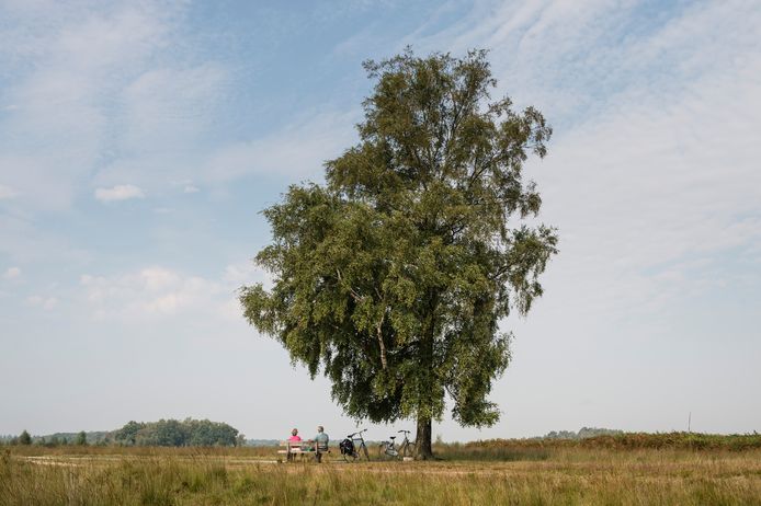 Het Haaksbergerveen is in top drie geëindigd van meest stille plekken in Nederland. Dwingelerveld in Drenthe won de verkiezing.