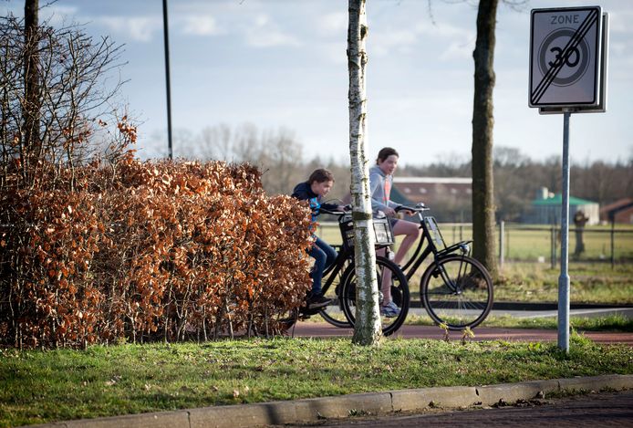 Hoge heg op de hoek van de Roosbergseweg en de Hoge Daalakker waardoor de fietser slecht te zien zijn.
Foto: Pix4Profs/Joyce van Belkom