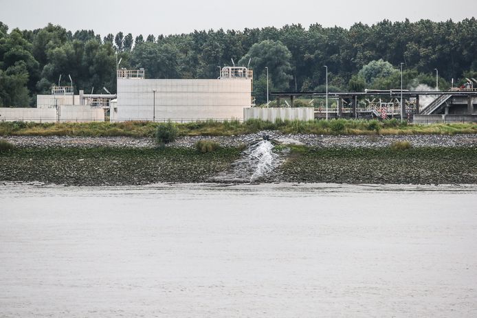 3M dumpt verschillende stoffen in de Schelde.