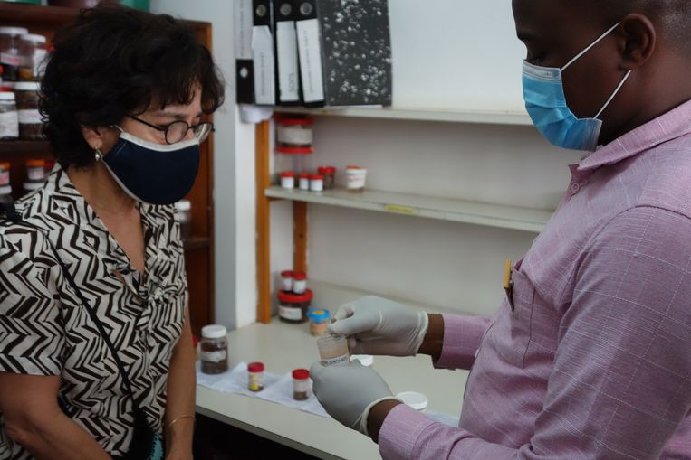 Maria Yazdanbakhsh, 62 anni, professore di parassitologia/immunologia presso il Leiden University Medical Center, sta lavorando in Tanzania alla ricerca delle differenze nel sistema immunitario dei tanzaniani e degli europei contro il coronavirus.  Scultura di Carlin van der Burt