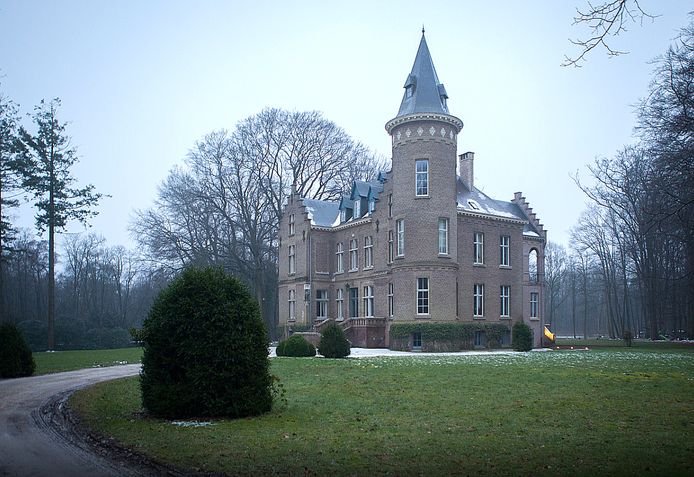 Het kasteel van Saelens
