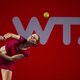 Van Uytvanck maakt mooie sprong op WTA-ranking