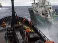 Sea Shepherd gaat niet meer jagen op walvisjagers in Zuidelijke Oceaan