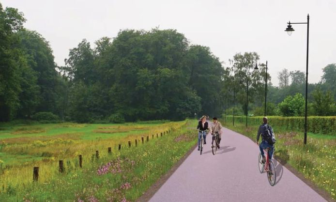 De Parkweg, die in Arnhem de parken Sonsbeek en Zypendaal scheidt, moet deels een fietsstraat worden.