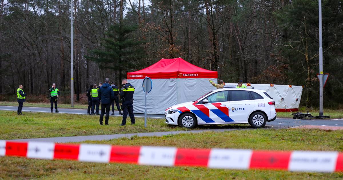 Fietser overleden na ongeval met vrachtwagen in Gelderland.
