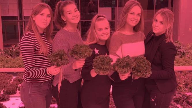 Helmondse leerlingen tijdens Dutch Design Week: ‘Even wennen aan drinkbare sla’