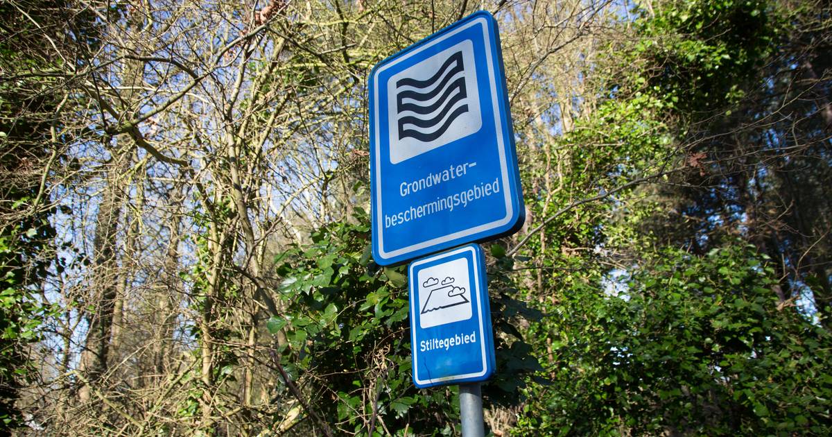 Waterbedrijf Vitens hoopt dat proef lelieteelt in Ommen doorgaat