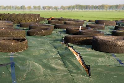 Nieuwe sabotage bij boer, dekzeil kapot gesneden