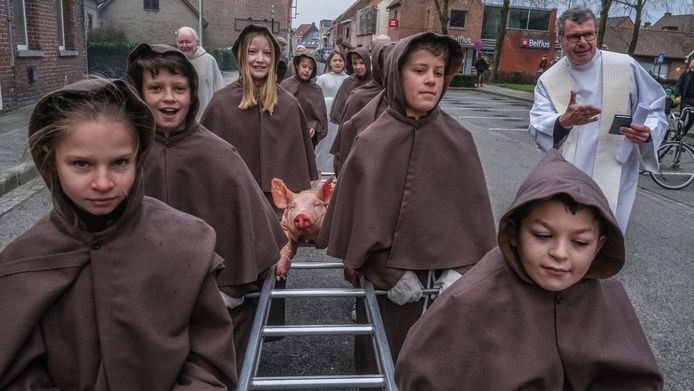 De viering van Sint-Antonius in het West-Vlaamse Rollegem.
