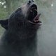 Uitzinnige horror, maar slappe dialogen en slechte grappen: ‘Cocaine Bear’ is niet de cultclassic waar we op hoopten