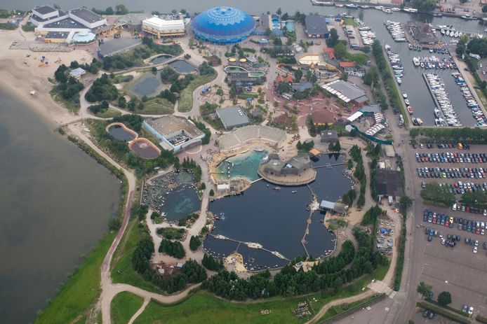 dolfinarium-in-harderwijk-in-zwaar-weer-regio-gelderlander-nl
