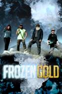 boxcover van Frozen Gold