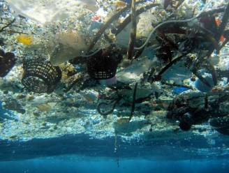 "Tegen 2050 meer plastic dan vis in oceaan"