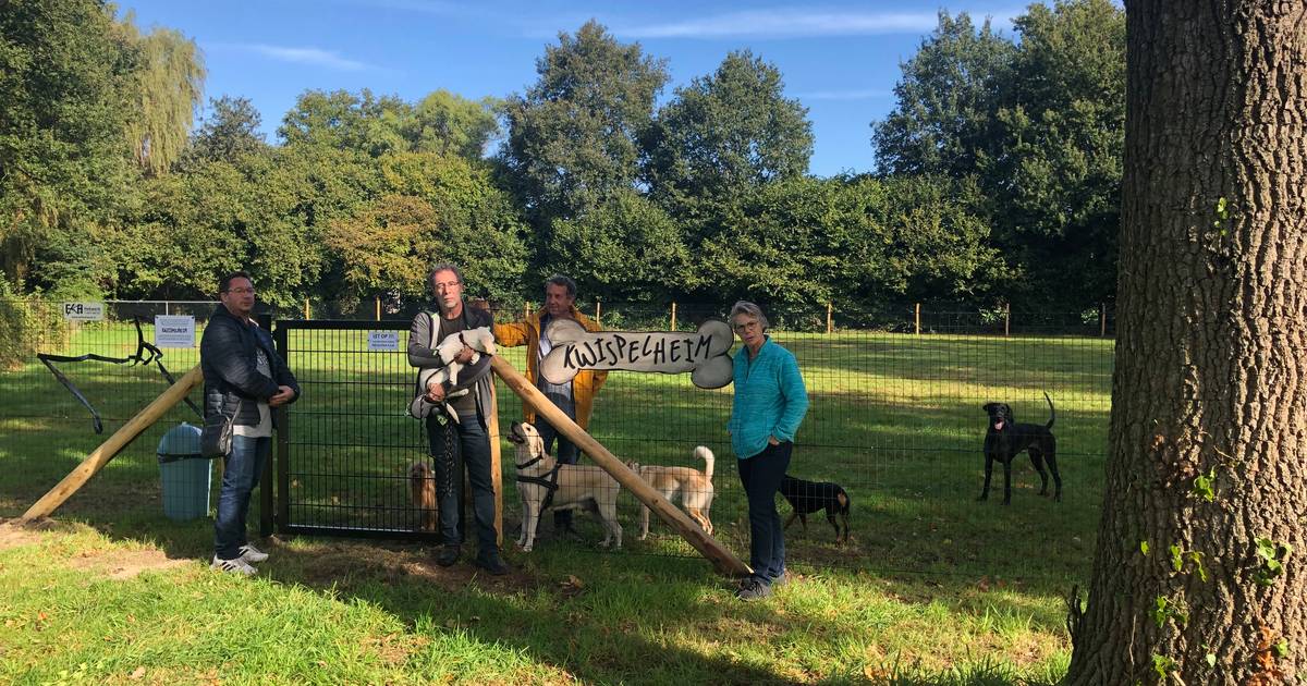 Op de ‘Kwispelweide’ in Diepenheim zijn alle honden en hun baasjes in Hof van Twente welkom