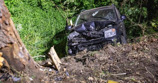 Wat gebeurt hier? Drie botsingen tegen dezelfde boom langs Beerzerweg in Ommen - De Stentor
