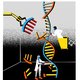 Crispr-Cas zorgde niet alleen voor een revolutie, maar ook strijd