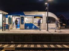 Voorwaardelijke celstraffen voor broers na zware mishandeling machinist Arriva op station Zwolle
