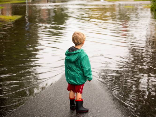 Klimaatwetenschapper luidt alarmbel: "Hittegolf van deze zomer wordt de norm, Vlaanderen komt voor deel onder water te liggen"