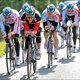 Nieuw Lotto-wielerproject kleurt Belgisch