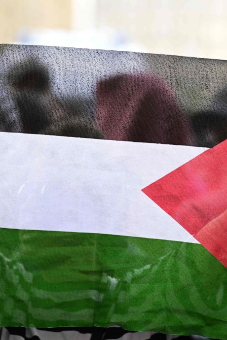 Plus de 20 experts de l’ONU appellent à reconnaître la Palestine