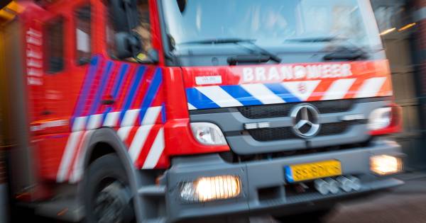 Onkruid verbranden gaat iets te fanatiek in Zwammerdam, brandweer rukt uit.