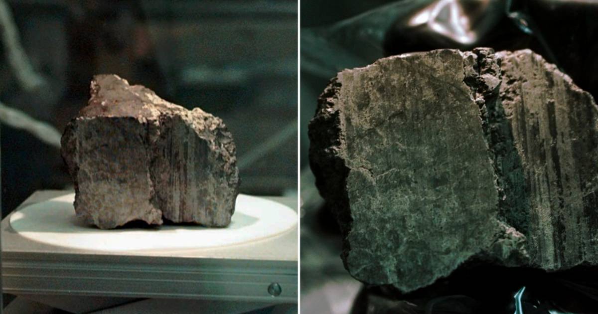 Uno studio “deludente” rivela che la falsità dei composti organici nel meteorite marziano è di origine biologica |  Scienza