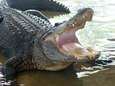 Man uit Louisiana vermoedelijk overleden na aanval door alligator in overstroomde tuin