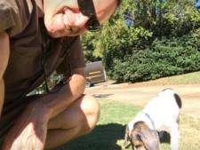 Pakjesbezorgers delen hun liefdevolle ontmoetingen met honden