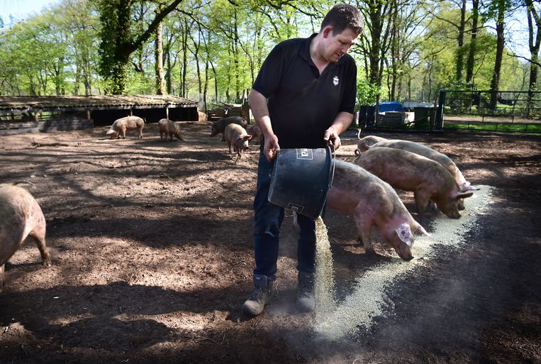 Boxtel: Herenboeren Wilhelminapark is een coöperatie van burgers, waarbij de boer vraaggestuurd werkt en produceert, exclusief voor de deelnemers. Beeld Marcel van den Bergh