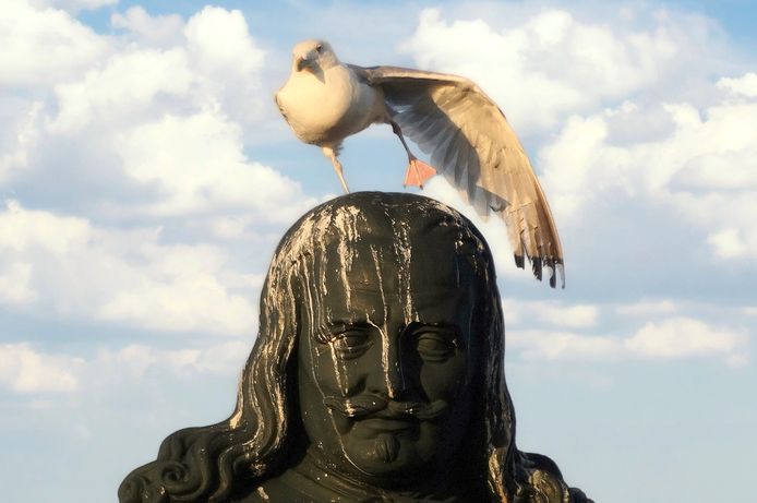 Een meeuw boven op het standbeeld van Michiel Adriaanszoon de Ruyter in Vlissingen.